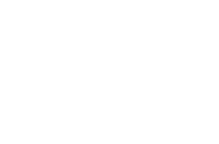 Zid Shirts